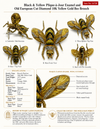Vintage Black & Yellow Plique-A-Jour Enamel and Old European Cut Diamond 18K Yellow Gold Bee Brooch