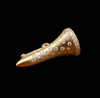 The Bambino Golf Tee One of a Kind Pendant/Brooch 15456