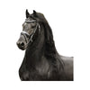 Diamond and Black Rhodium Horse Earrings