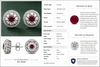 Modern Gem Ruby and Diamond 18Kt White Gold Earrings