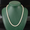 Mid Century 1950's Japanese Akoya 5 - 7.00 mm Cultured Pearl Graduated Necklace