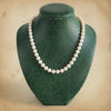 Modern 1960's Japanese Akoya 8.00-8.50 mm Cultured Pearl Necklace