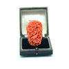 Natural Carved Coral and 14K Yellow Gold Italian Ring