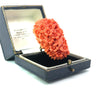 Natural Carved Coral and 14K Yellow Gold Italian Ring