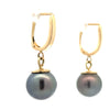 Modern 11.5mm Tahitian Pearl 14kt Yellow Gold Drop Earring