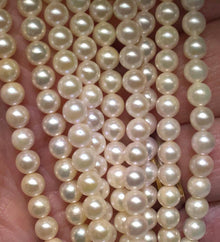  Japanese Akoya 5-5.5mm Fine Cultured Pearl Strands 13307